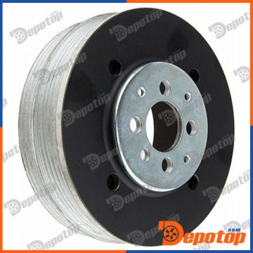 Poulie damper vilebrequin pour VW | RKP-WW-010, 04498